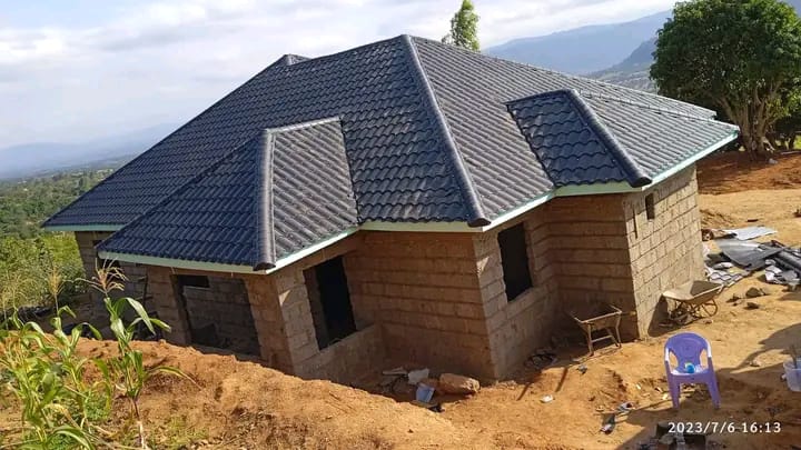 Project
